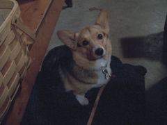 154_1144.JPG